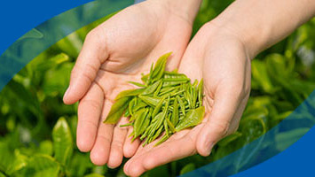 天福茗茶：生产到销售终端全面数字化